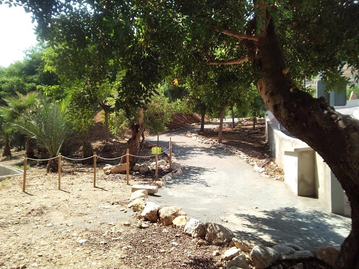 Casa De Panorama